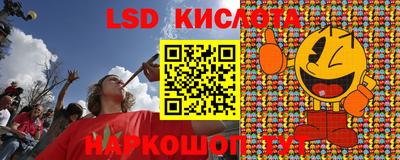 СК Гатчина