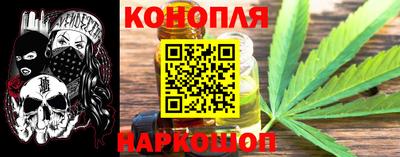 СК Гатчина