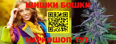 СК Гатчина