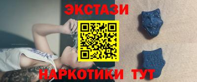 СК Гатчина