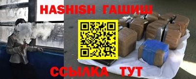 СК Гатчина
