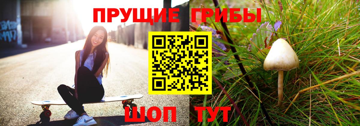 Галлюциногенные грибы Magic Shrooms  Вход с VPN  Саки  Псилоцибиновые грибы Magic Shrooms 