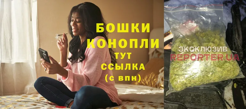 Шишки марихуана гибрид  Саки 